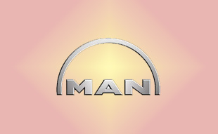 ✓ MAN 05006151 Фильтр воздушный 